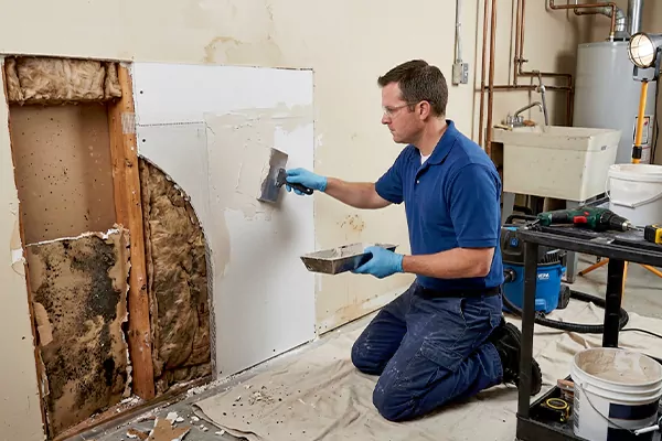 Mold and Drywall Repair La Quinta