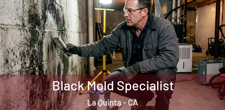  Black Mold Specialist La Quinta - CA