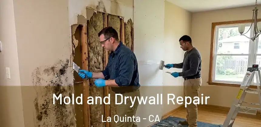  Mold and Drywall Repair La Quinta - CA