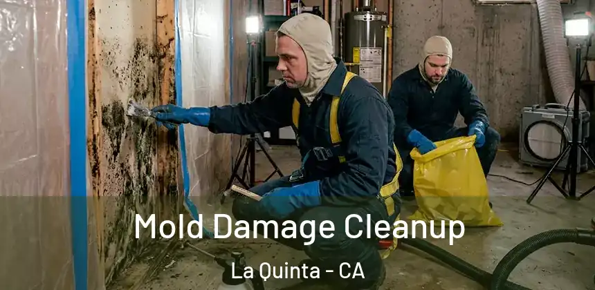  Mold Damage Cleanup La Quinta - CA
