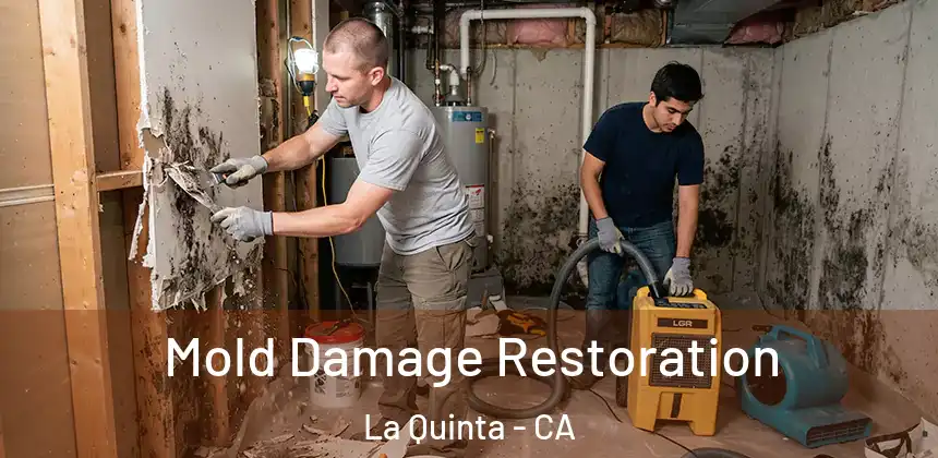 Mold Damage Restoration La Quinta - CA