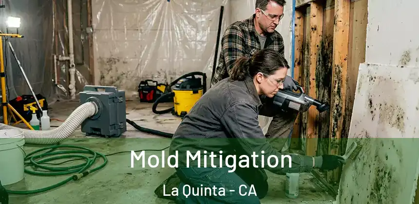  Mold Mitigation La Quinta - CA