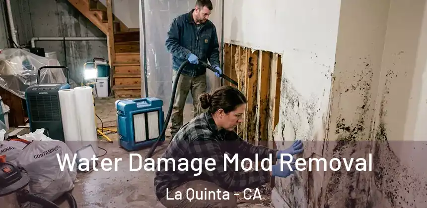  Water Damage Mold Removal La Quinta - CA